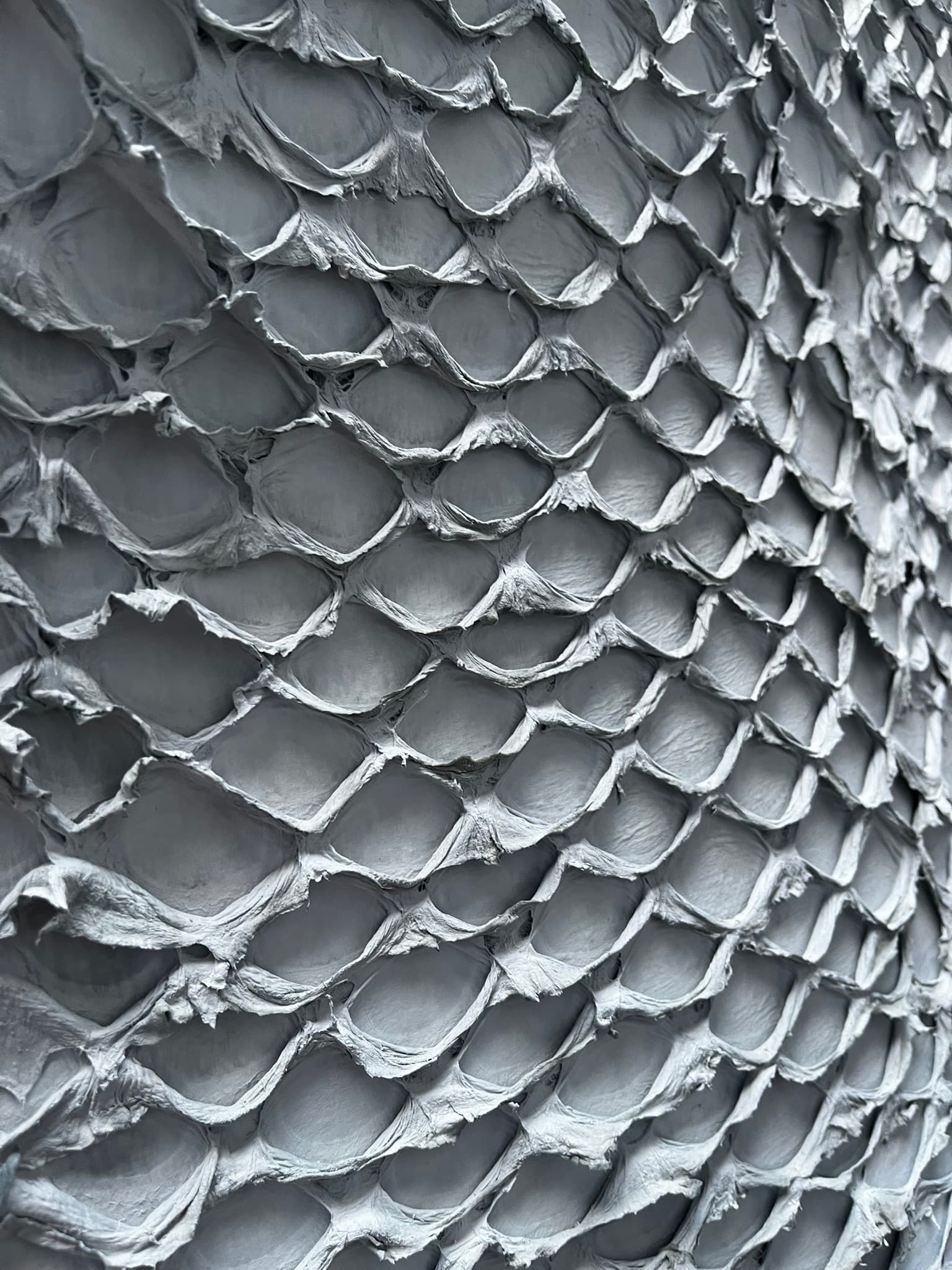 Wet Blue Arapaima leather texture