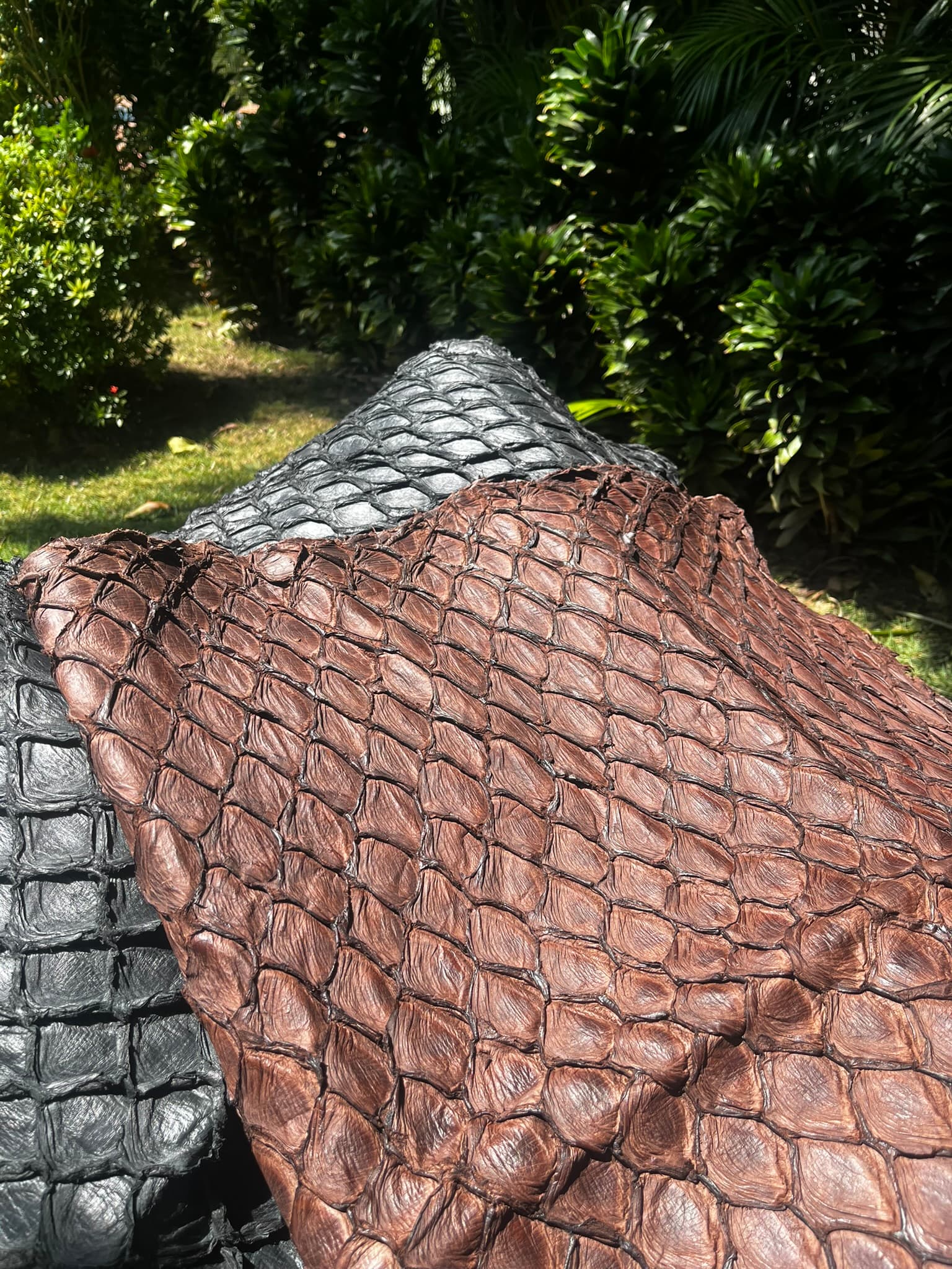 Custom finished Arapaima leather
