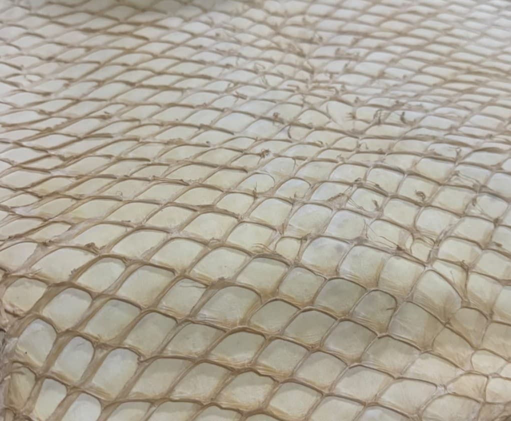 Wet White Arapaima leather texture
