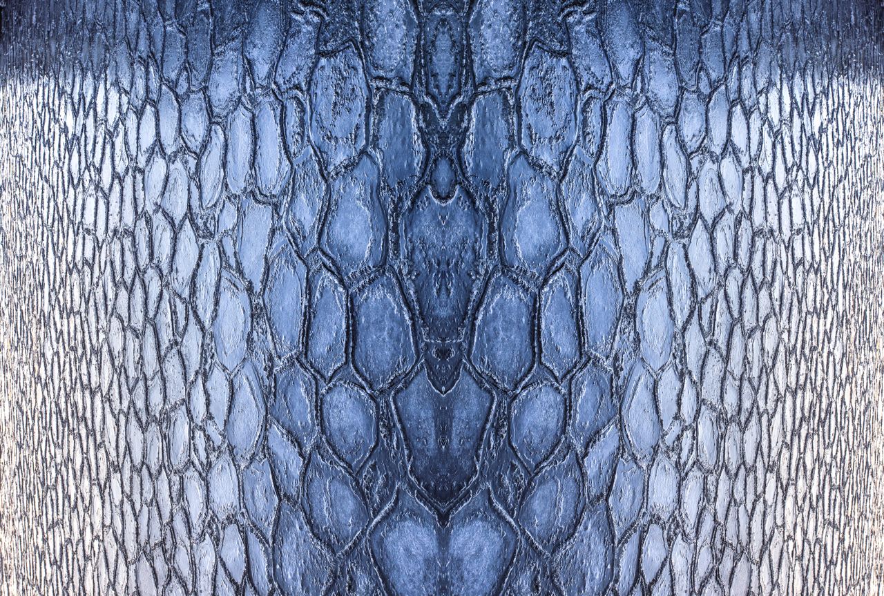 Close-up view of a detailed ice texture resembling reptile skin, capturing nature's design.